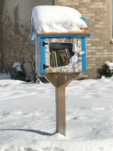 Snowy little library