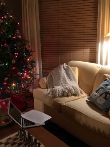 Couch and a Christmas tree