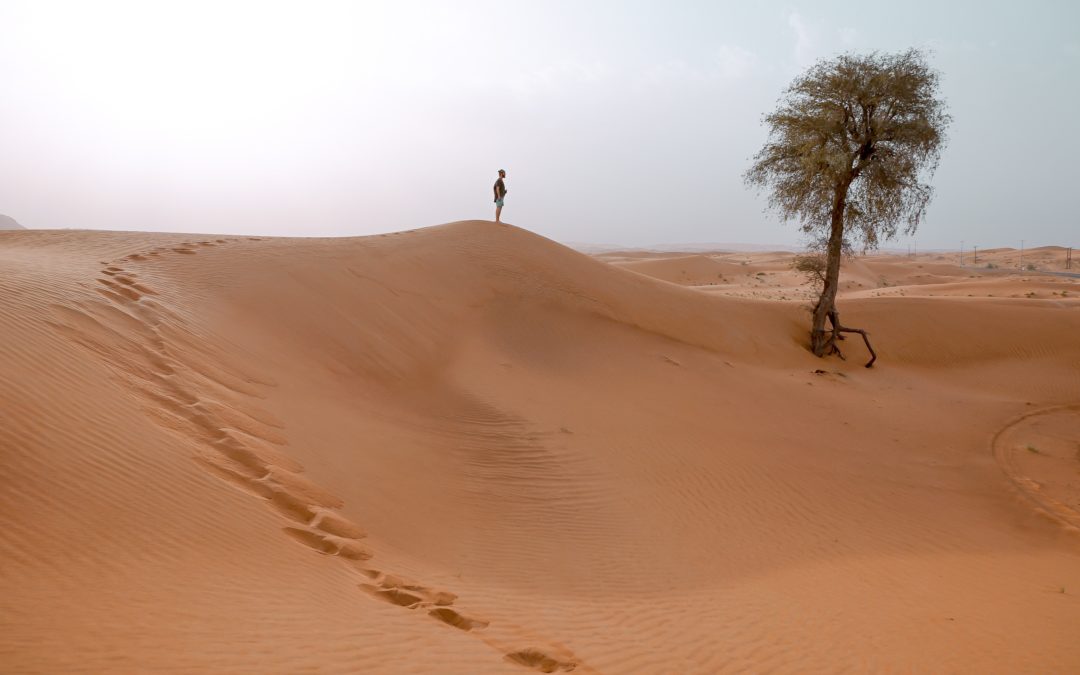 Lone figure in the desert