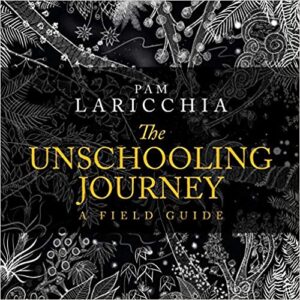 Cover of The Unschooling Journey