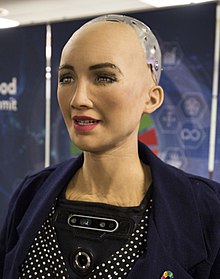 The Humanoid Robot Sophia