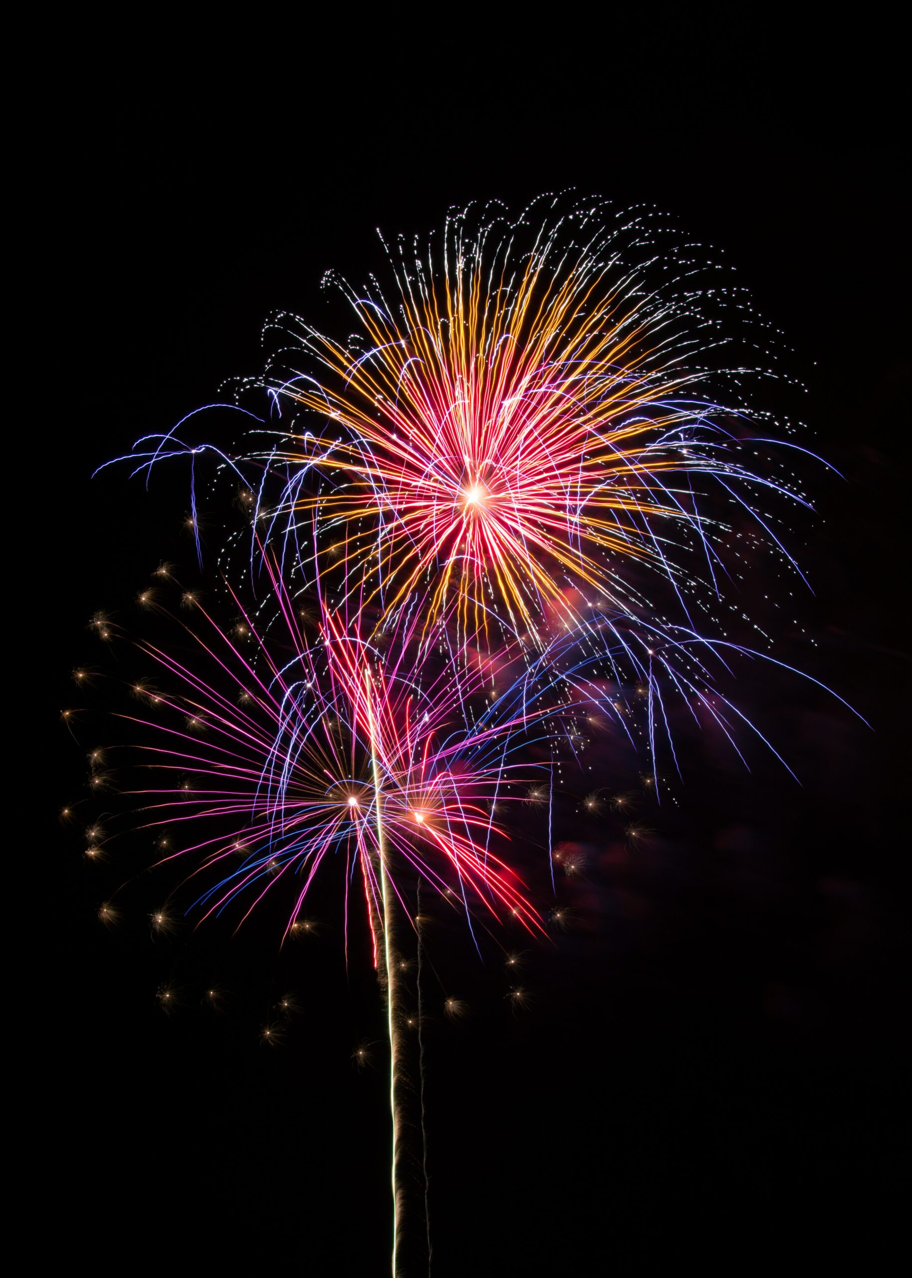 Fireworks in a night sky