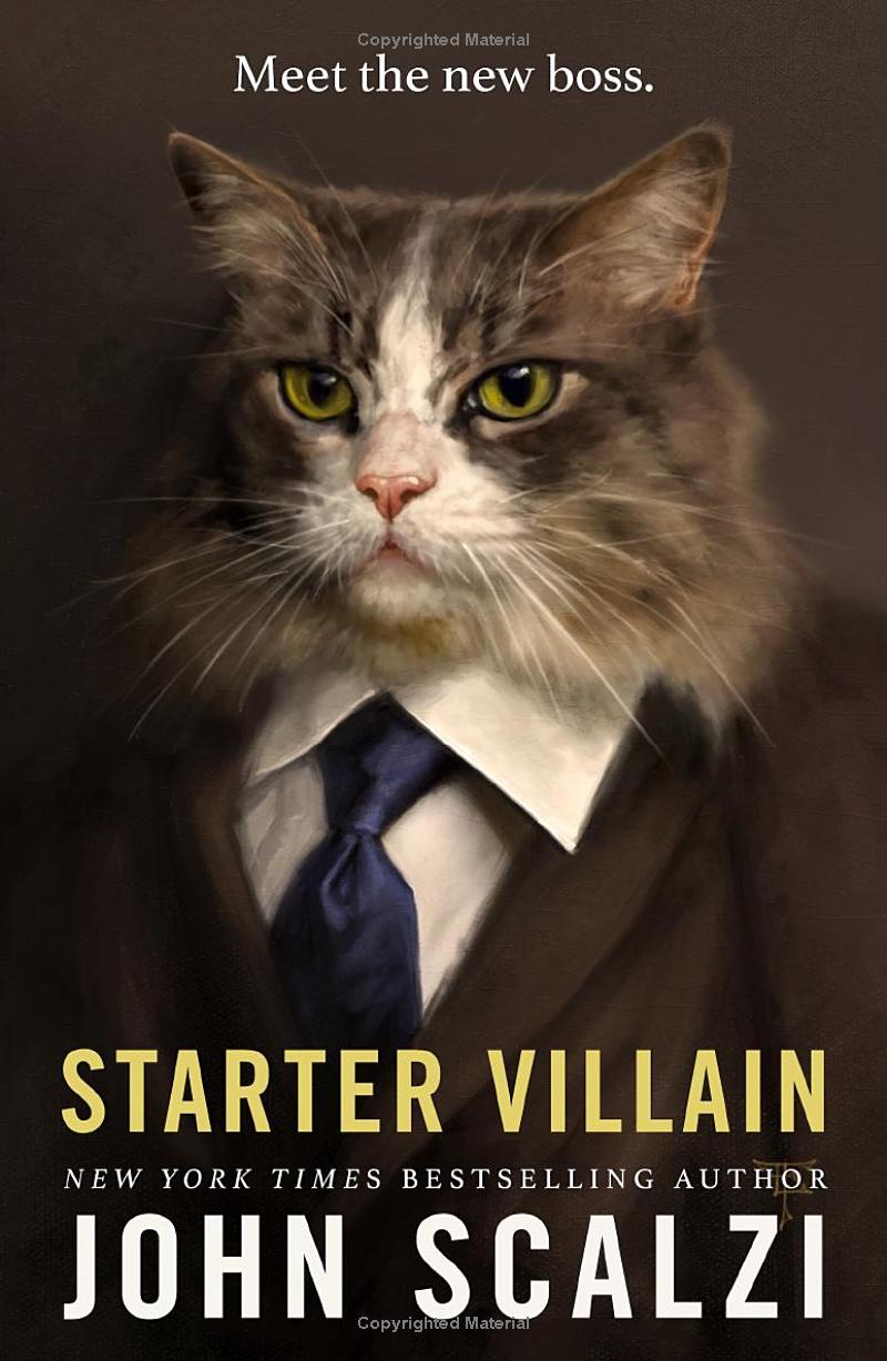 The Cover of Starter Villain