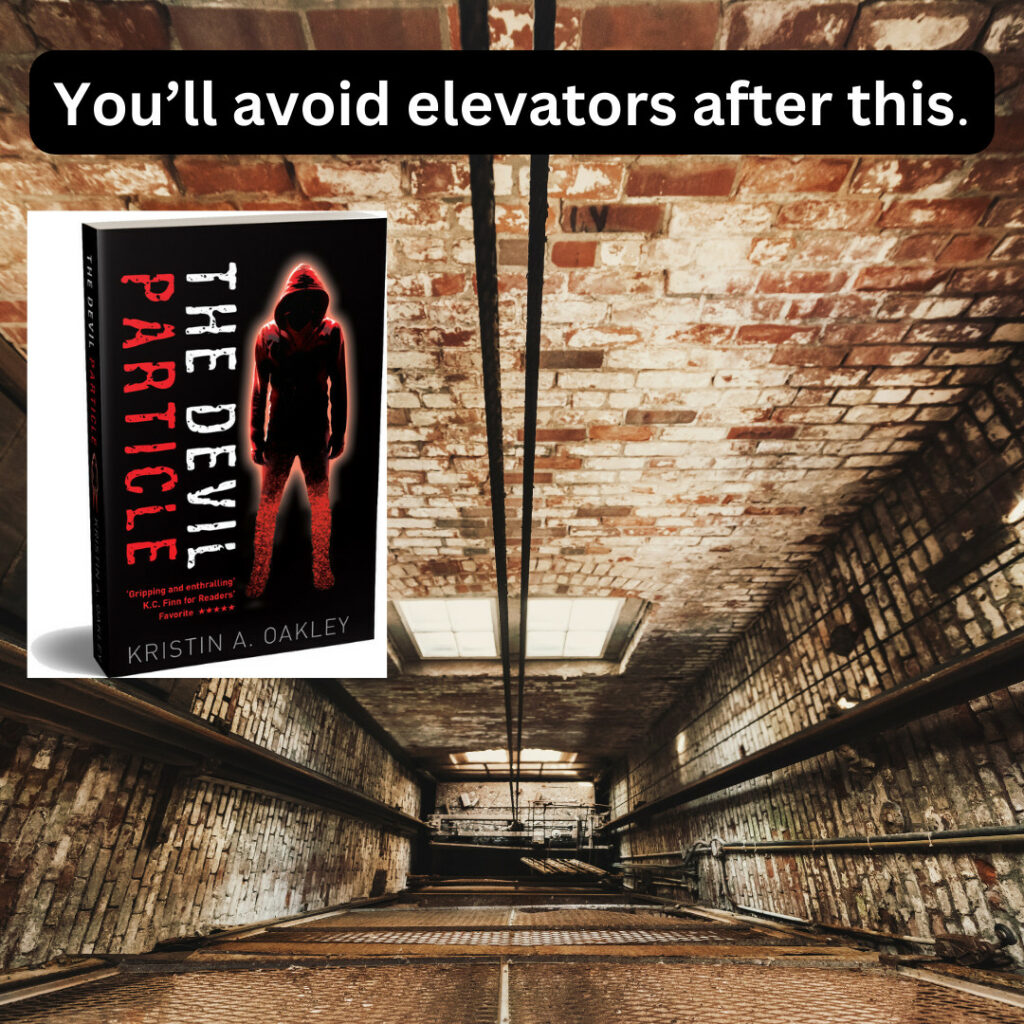 Cover of The Devil Particle in an elevator shaft.