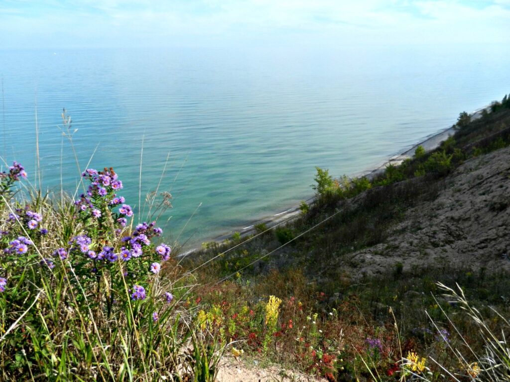 Lion's Den Nature Preserve on Lake Michigan